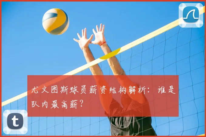 尤文图斯球员薪资结构解析：谁是队内最高薪？