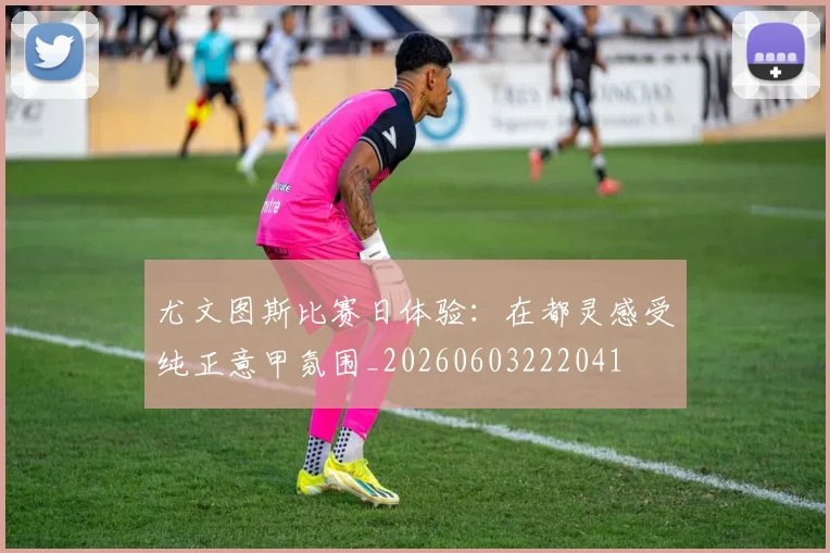 尤文图斯比赛日体验：在都灵感受纯正意甲氛围_20260603222041