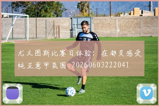 尤文图斯比赛日体验：在都灵感受纯正意甲氛围_20260603222041